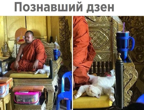 Смешные картинки из социальных сетей