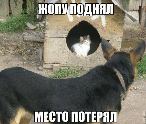 Смешные картинки из социальных сетей