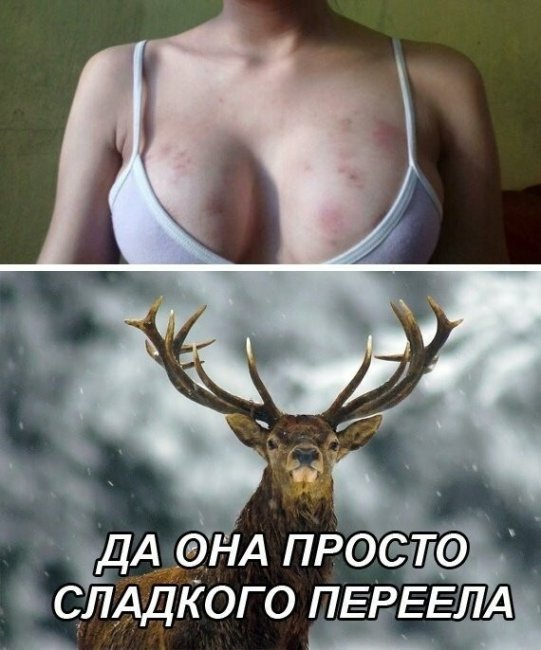 Смешные картинки из социальных сетей