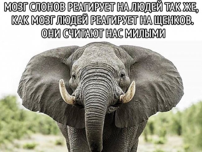 Смешные картинки из социальных сетей