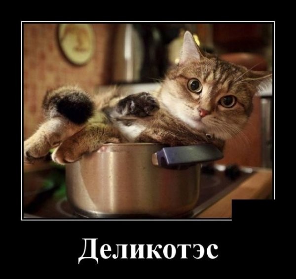 Свежие Демотиваторы на сегодня