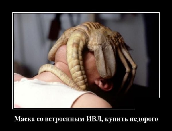 Свежие Демотиваторы на сегодня