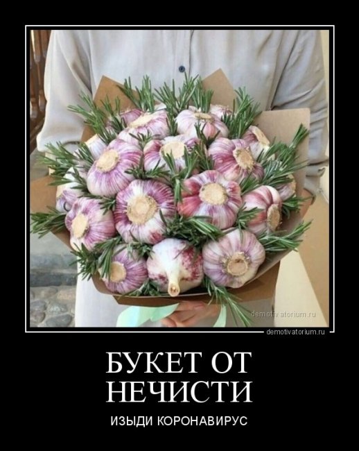 Свежие Демотиваторы на сегодня