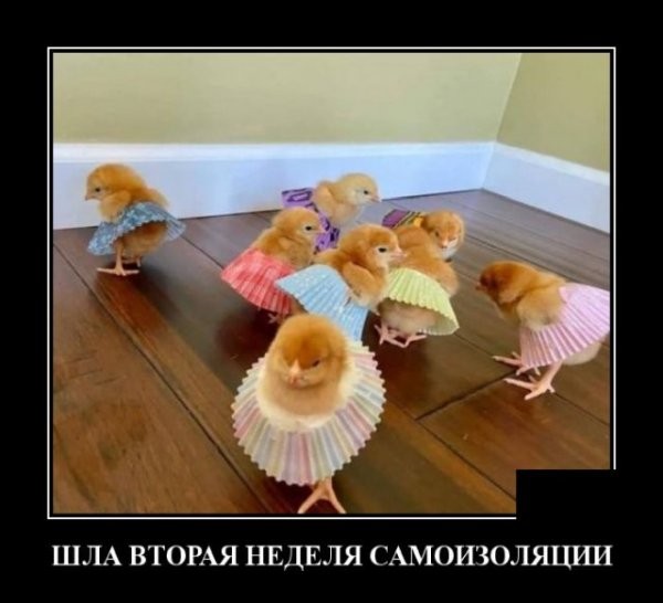 Свежие Демотиваторы на сегодня