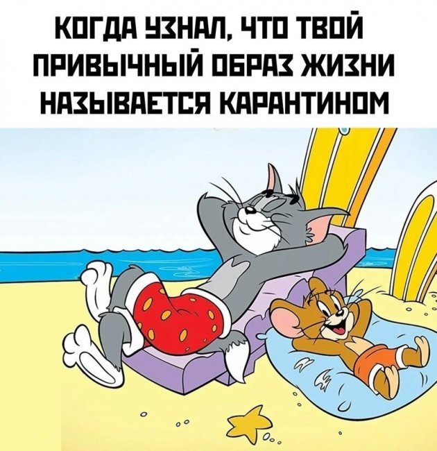 Смешные картинки из социальных сетей