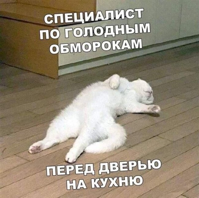 Смешные картинки из социальных сетей
