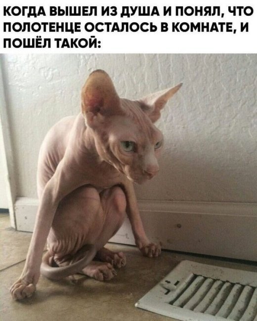 Смешные картинки из социальных сетей