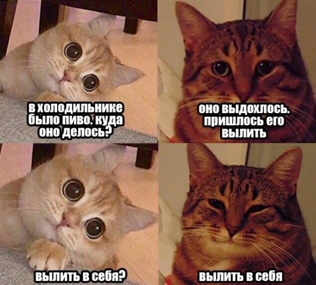Смешные картинки из социальных сетей
