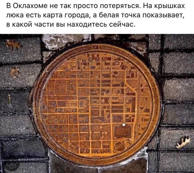 Смешные картинки из социальных сетей