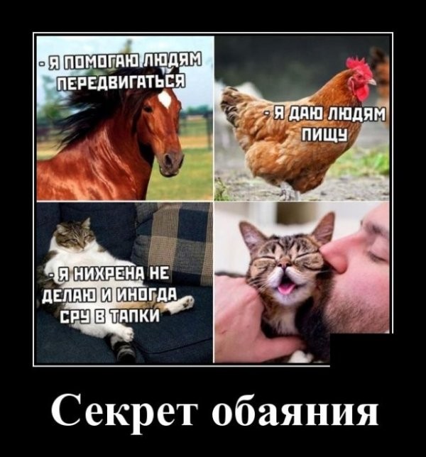 Свежие Демотиваторы на сегодня