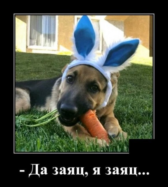 Свежие Демотиваторы на сегодня