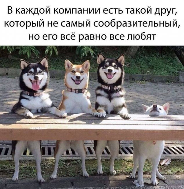 Смешные картинки из социальных сетей
