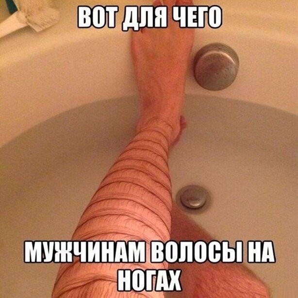Смешные картинки из социальных сетей