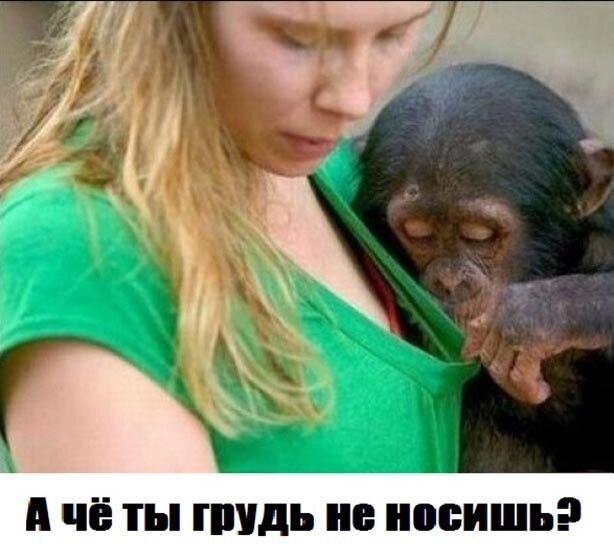 Смешные картинки из социальных сетей
