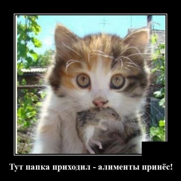 Свежие Демотиваторы на сегодня