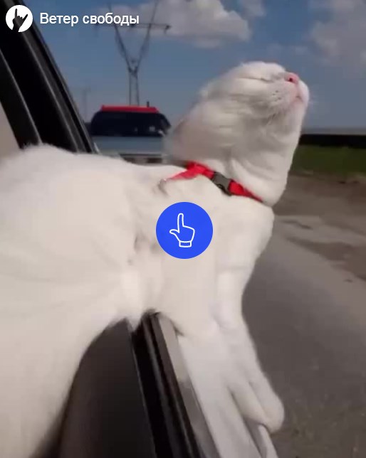 Подборка кубиков