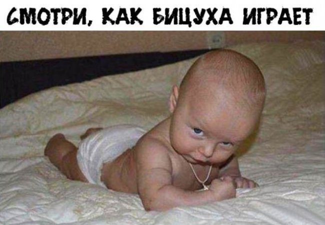 Смешные картинки из социальных сетей