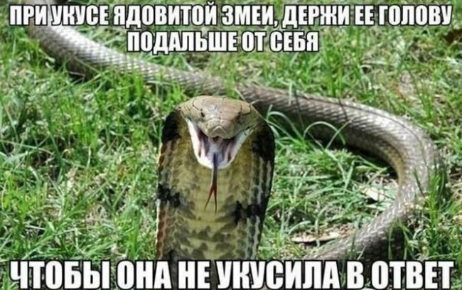 Смешные картинки из социальных сетей