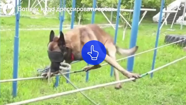 Подборка кубиков