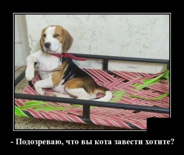 Свежие Демотиваторы на сегодня