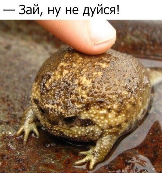 Смешные картинки из социальных сетей