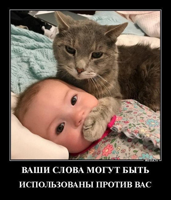 Свежие Демотиваторы на сегодня