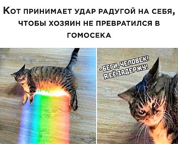 Смешные картинки из социальных сетей