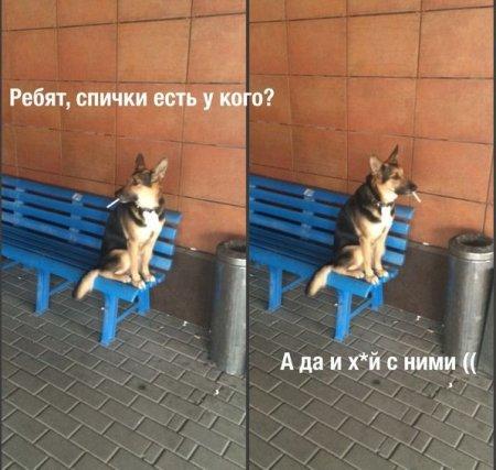 Картинки со смешными подписями