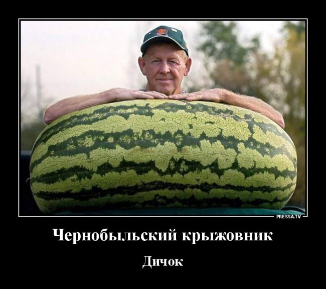 Свежие Демотиваторы на сегодня
