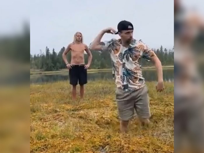 На болоте всегда есть чем заняться