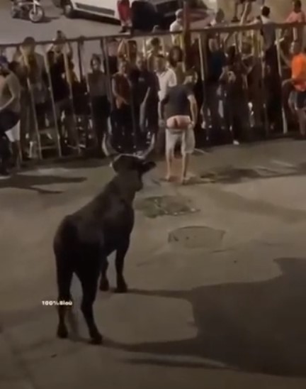 Не дразни быка пятой точкой