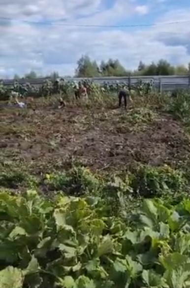 Приехали на шашлыки