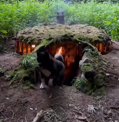 Хижина Хоббита