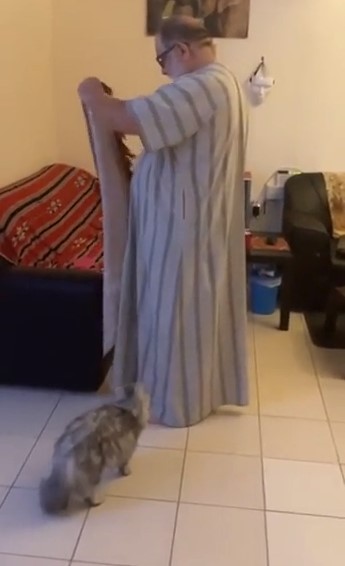 Любимое место кота