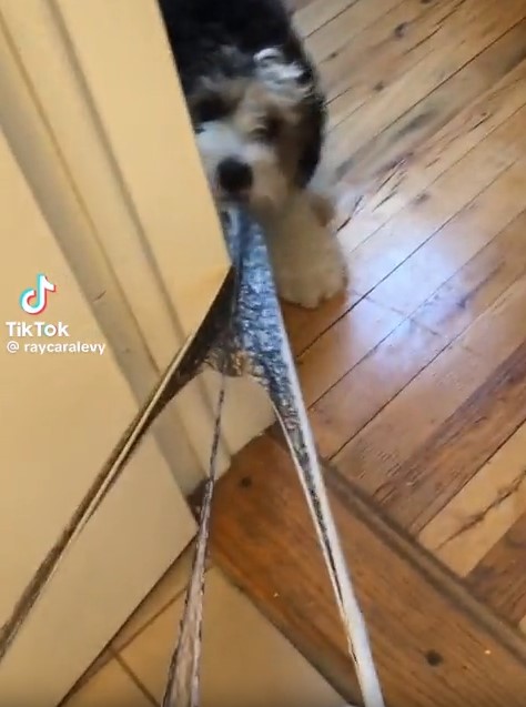 Ну дай примерить!