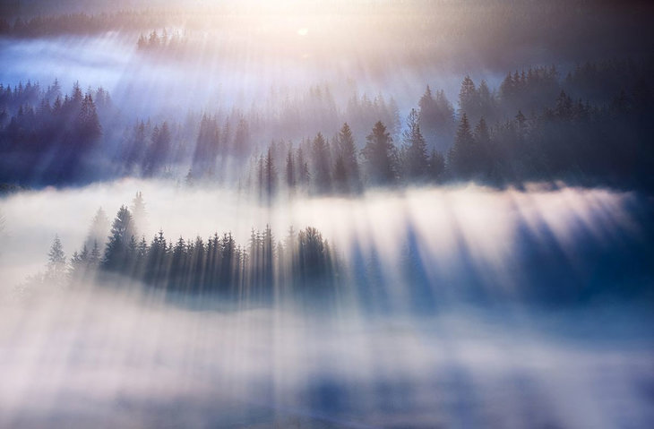 Красивые и завораживающие фотографии тумана