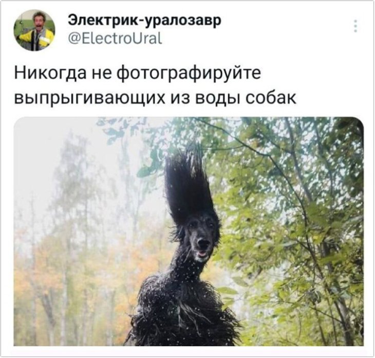 Смешные комментарии, переписки и посты из социальных сетей #2661