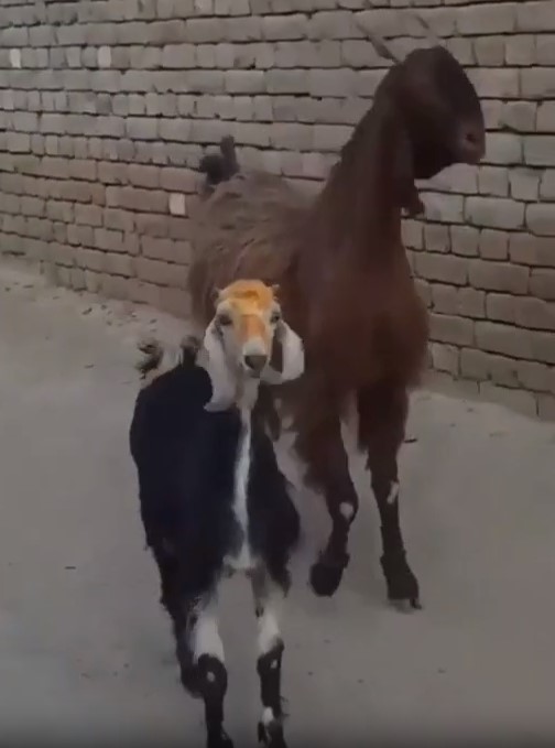 Когда на своем районе