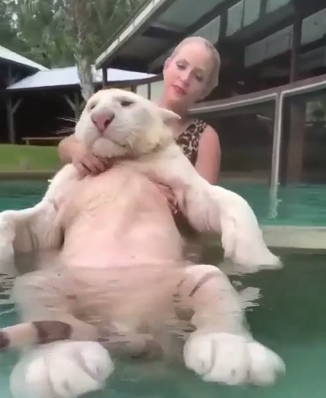 Водные процедуры усатого