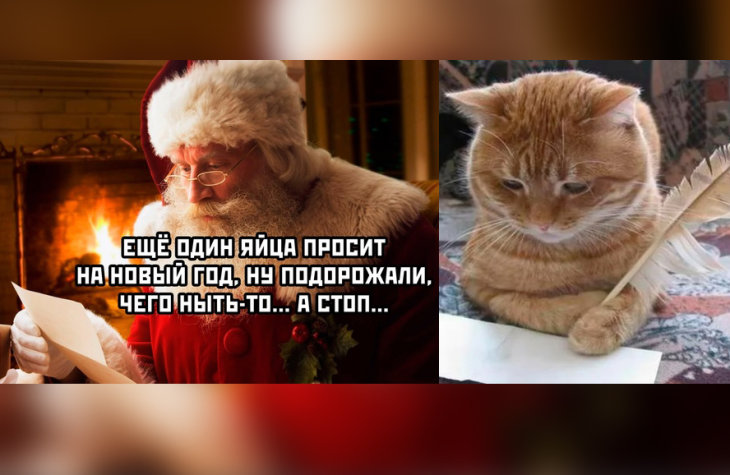 Лучшие смешные картинки с надписями и мемы из социальных сетей. Подборка #2678