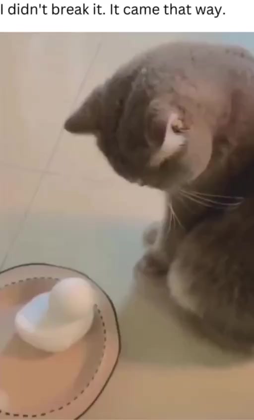 Кажется, они что-то понимают...⁠⁠