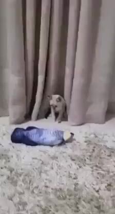 Она живая⁠⁠