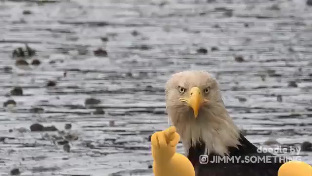 America, Fuck Yeah!⁠⁠