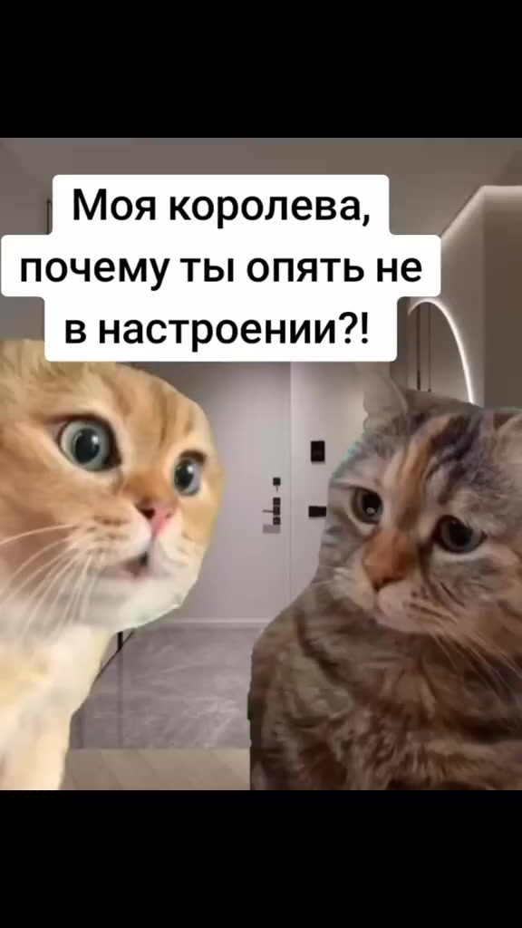 Холодно⁠⁠
