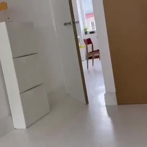 Умён и сообразителен⁠⁠