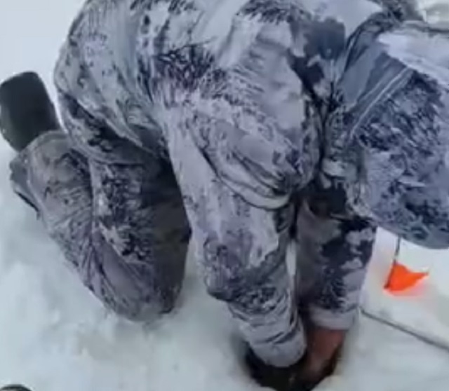 Шикарный улов на зимней рыбаке