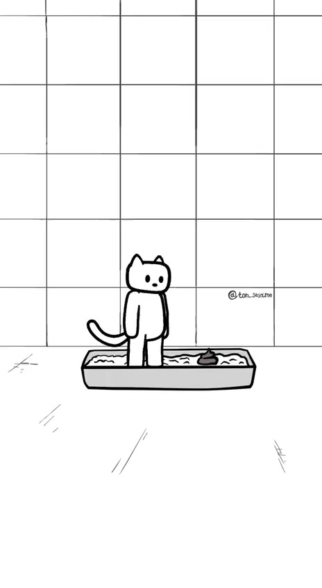 Коротко о моём коте