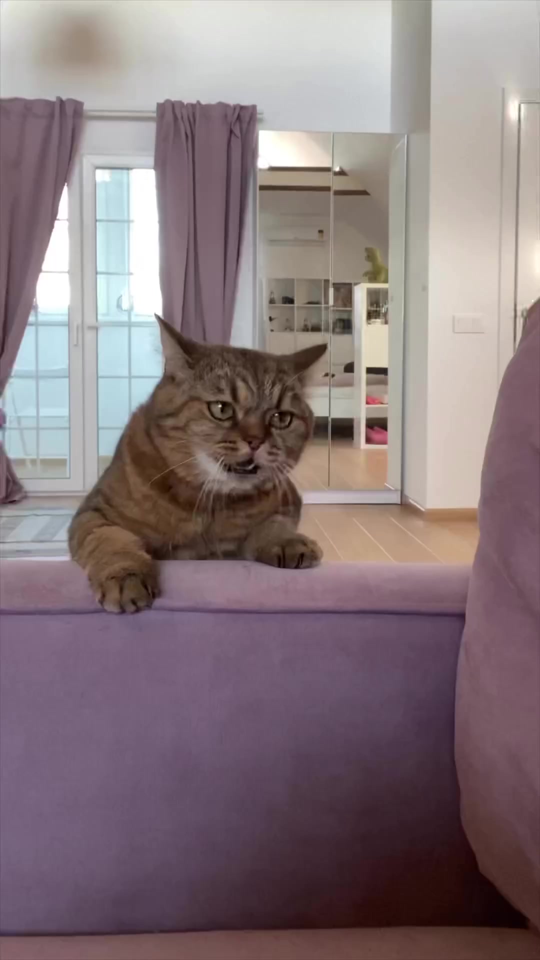 Кото-драма