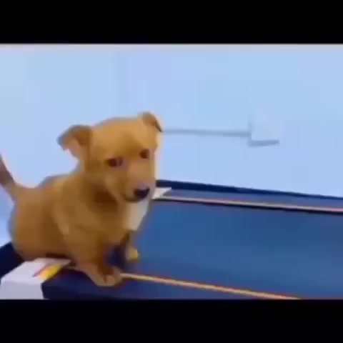 Ну что, займёмся кардио?