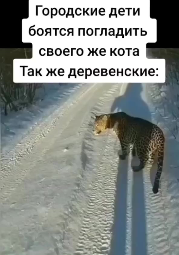 Дети
